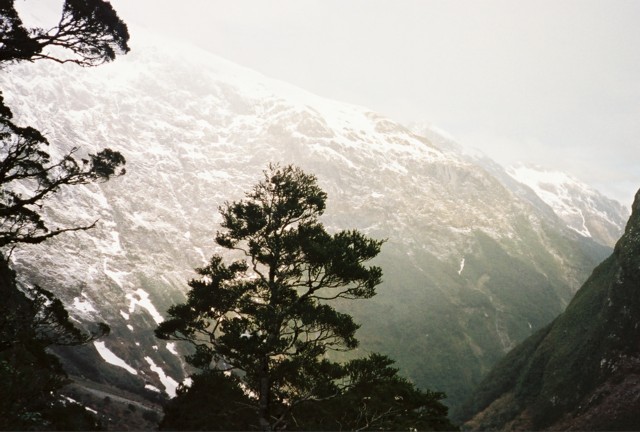 Descent from MacKinnon Pass