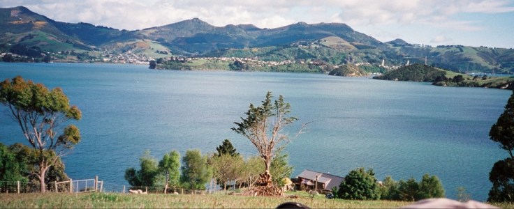 View from the hill above McFarmers (click to enlarge)