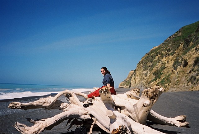 Kate atop a driftwood dragon