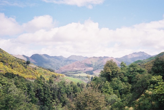 Typical view on the Track