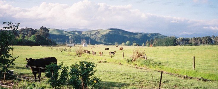 View from the Staging Post