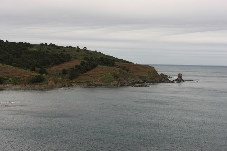 Looking across the bay from Banyuls-sur-Mer
