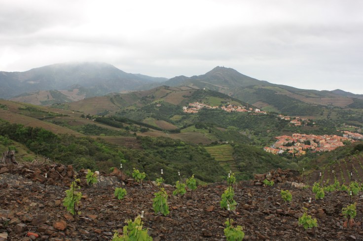 Looking down at Banyuls-sur-Mer